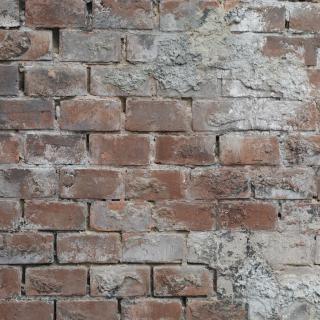 Photo Textures of Wall Bricks